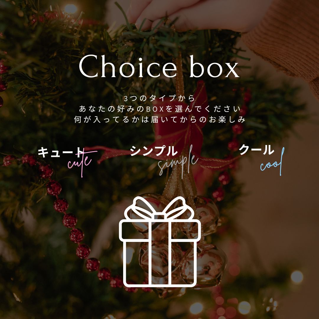 XMAS MYSTERY BOX (12月下旬到着予定)