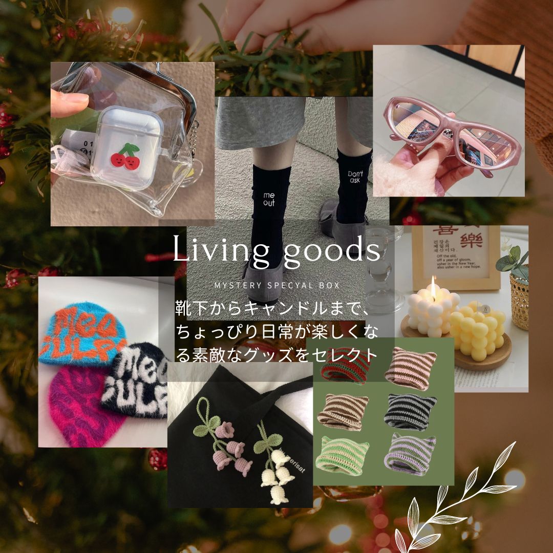 XMAS MYSTERY BOX (12月下旬到着予定)