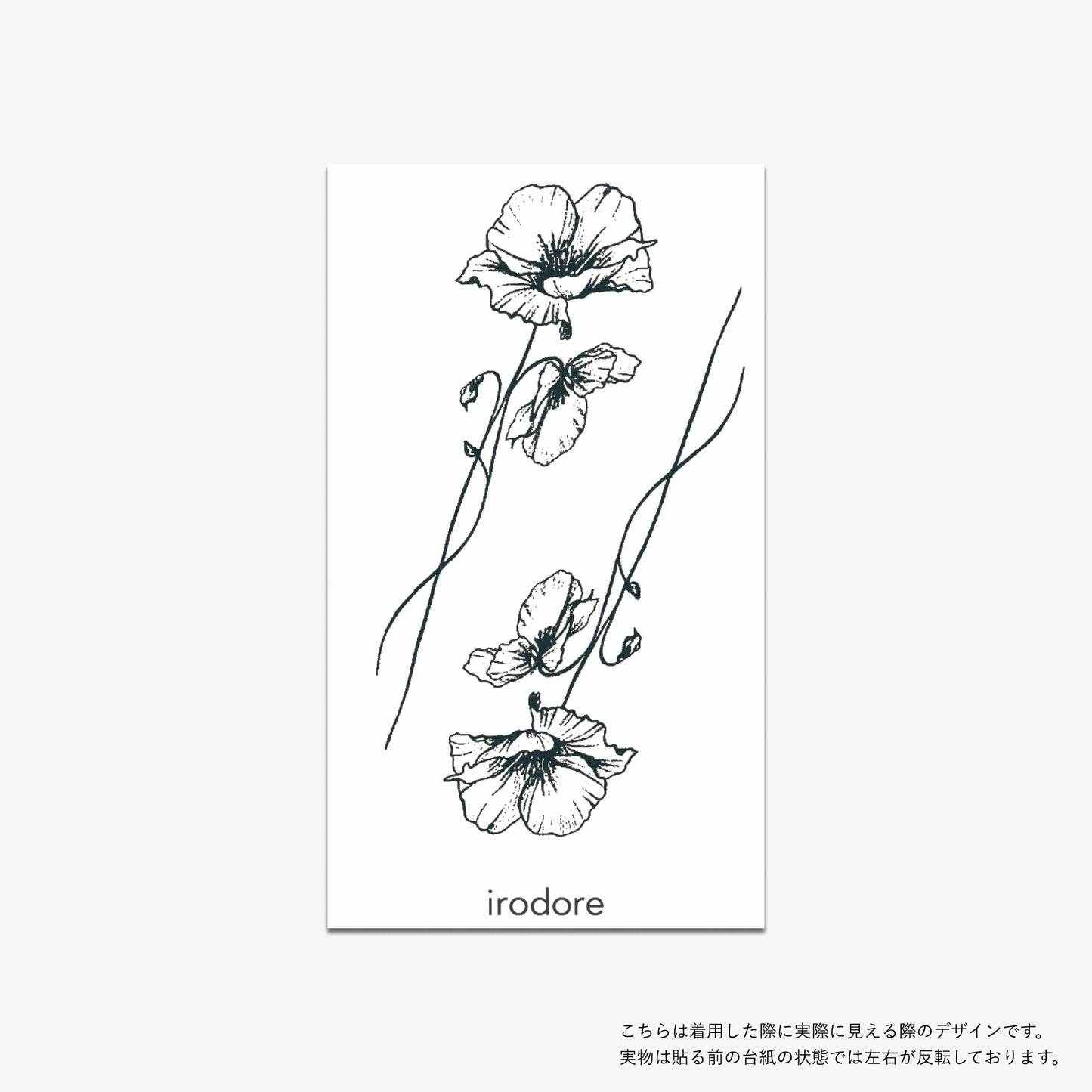 BLACK & WHITE B[ID: spa1170]