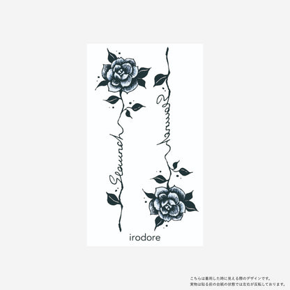 bsl0151