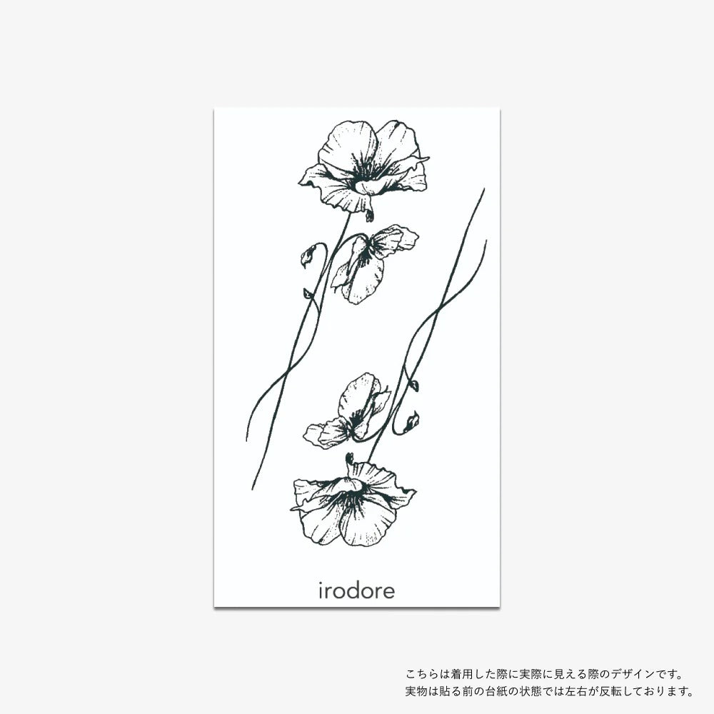 Modern Black Pack 3枚セット[ID: spa1266]