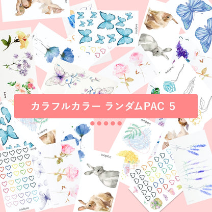 カラフルカラー ランダムPAC ５[ID: sor1100]