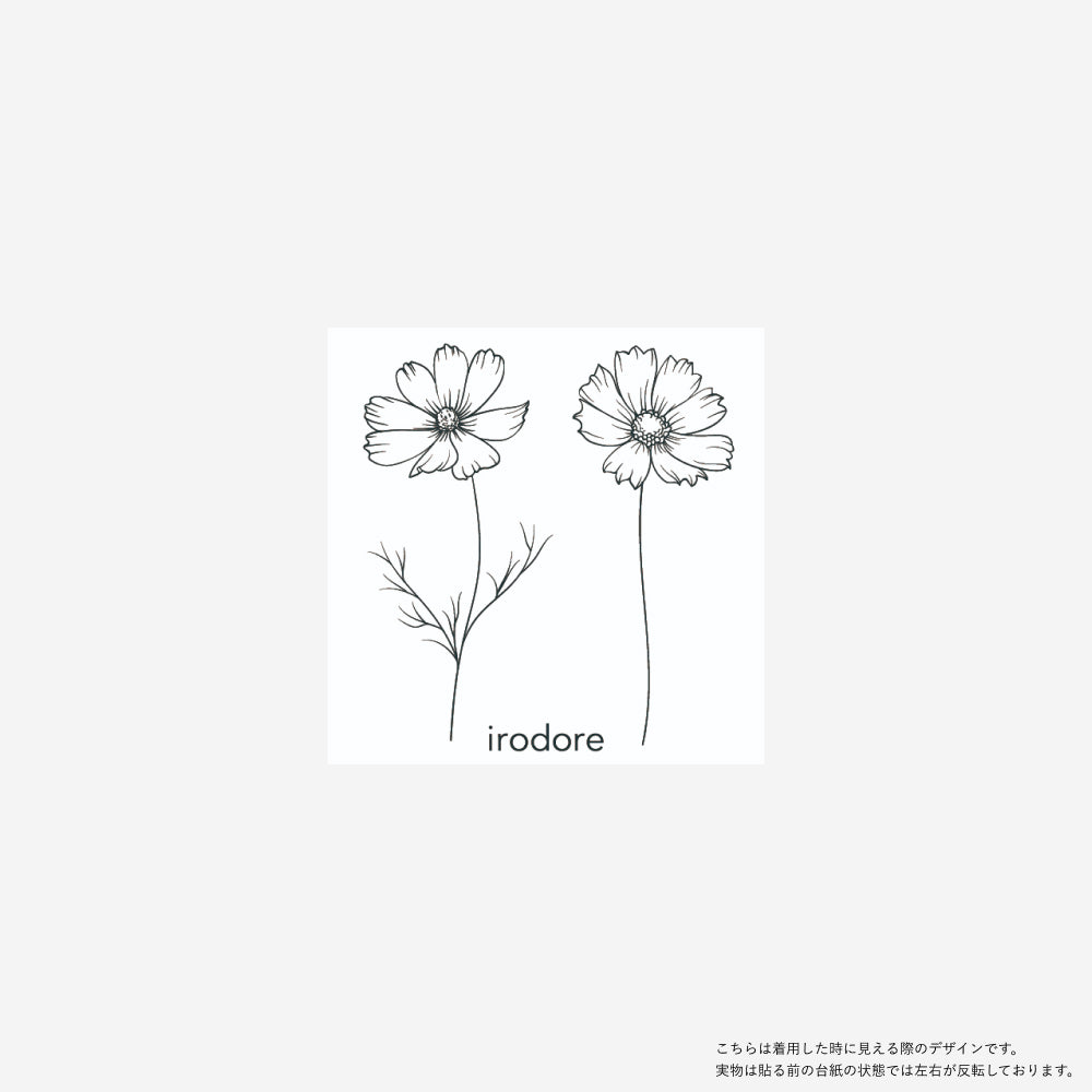 Delicate flower[ID: sor1070]