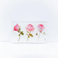 Pink flower & Butterfly - 3枚セット [ID: spa1062]